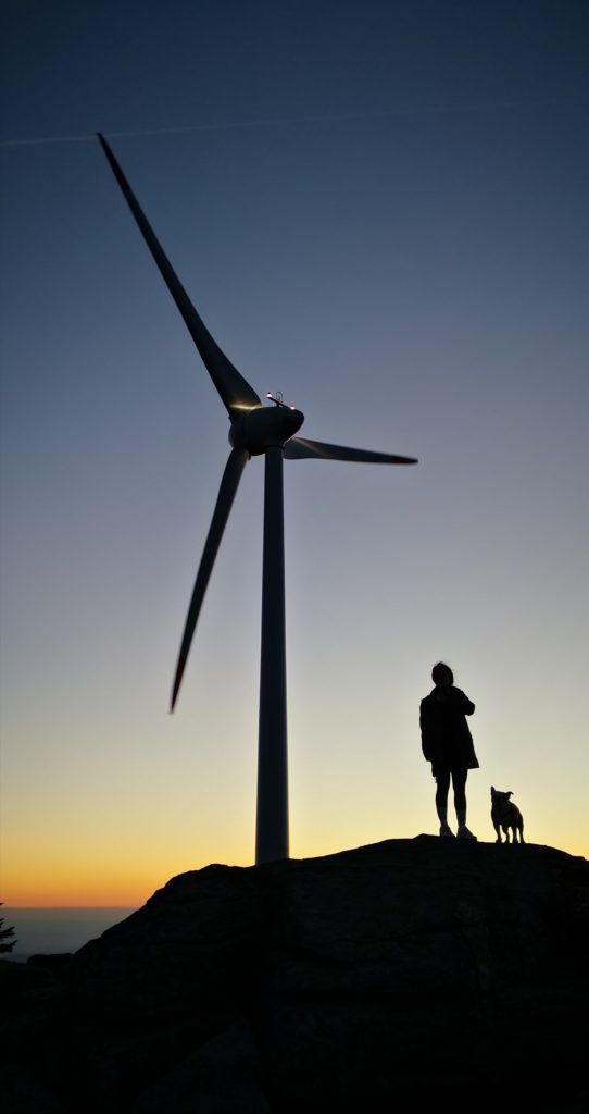silhouette of person standing near windmill 3641013